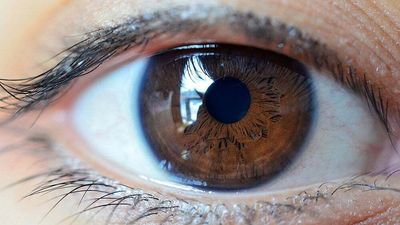 Apellis Pharmaceuticals Surges On New Review Date For Eye-Disease Treatment