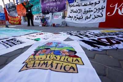 From Pacific to Red Sea: climate court action gathers wave of support
