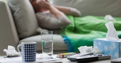 Newry, Mourne and Down Council reports almost 20,000 sick days among staff