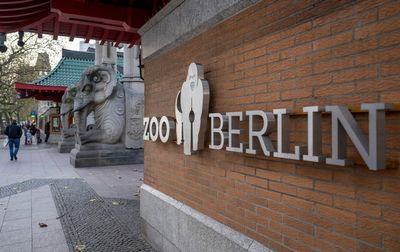 Berlin Zoo closes door to visitors over bird flu case