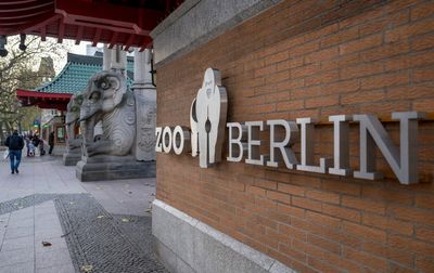 Berlin Zoo closed due to bird flu