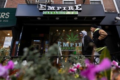 New York hasn't licensed any pot shops, yet they abound
