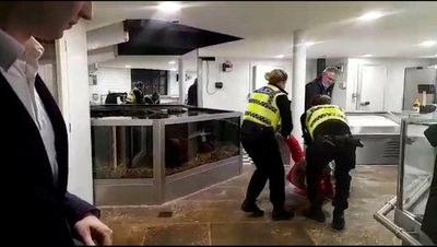 Climate protester arrested over approaching Sir David Attenborough at restaurant