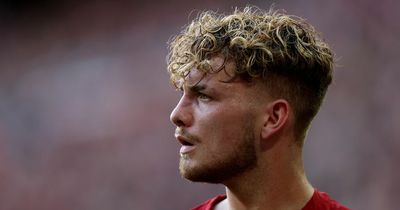 Harvey Elliott may face anxious World Cup wait as England injury issue emerges