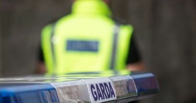 Man arrested after robbing two Cork shops at knifepoint