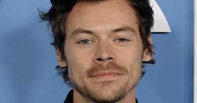 Harry Styles and Olivia Wilde 'split up' after nearly two years together