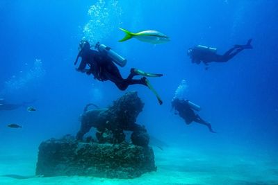 Off Florida, underwater burial ground offers aquatic lifeline