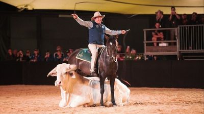Horses and the challenge of understanding them better at heart of Equitana festival