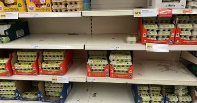 Egg shortages will last past Christmas warn producers as bird flu and costs take toll