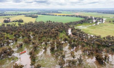 NSW floods: Condobolin waits behind 3km wall of sandbags as record peak flows west from Forbes