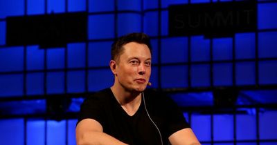 Twitter has 'real chance of disappearing' under Elon Musk says social media rival