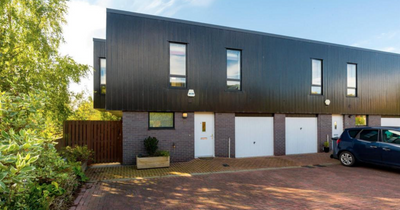 Edinburgh property: Futuristic family home with mod cons and sun terrace hits the market