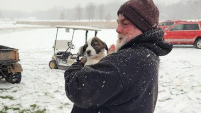 Three people and 53 dogs survive Wisconsin plane crash without serious injury