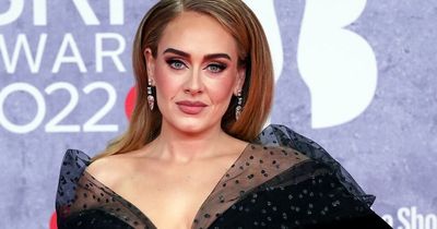 Adele fans can 'die happy' after finally seeing singer's 'perfect' Las Vegas performance