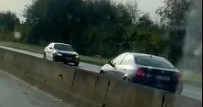 Motorist 'almost killed' after car drives down wrong side of Irish motorway as gardai investigate