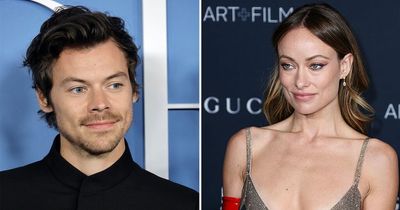 Inside Harry Styles and Olivia Wilde split - age gap to nanny drama