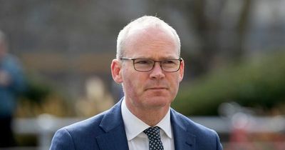 Simon Coveney threatens to expel more Russian diplomats after Irish politicians put on 'travel ban'