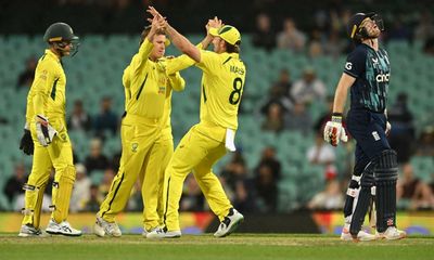 Australia seal series as Starc and Zampa stall England run chase in second ODI