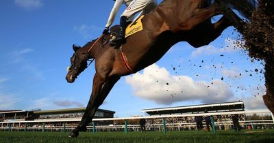 Hitman eases to victory in the Graduation Chase at Haydock Park