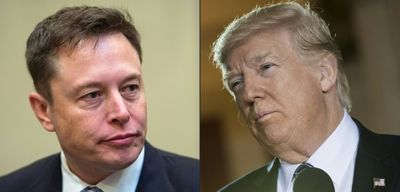 Elon Musk gleeful as Twitter users vote on reinstating Trump