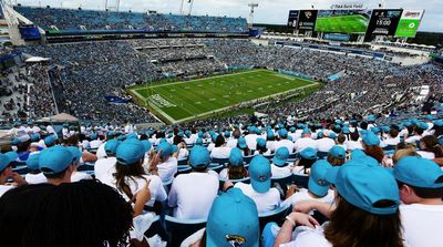 Jags Stadium Concession Stands Found Containing Dead Rodents