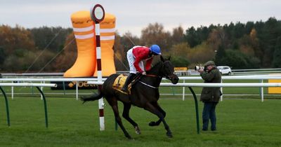 Gold Cup hero A Plus Tard pulled up as Protektorat wins Betfair Chase