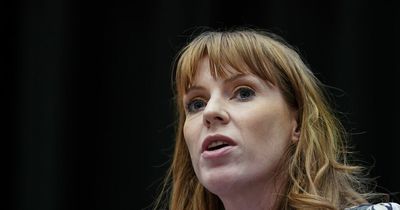 Social media row after MP's Twitter account allegedly 'liked' 'misogynistic and abusive' post attacking Angela Rayner