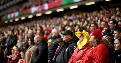 'Pivac needs to go!' Wales fans turn anger on coach after Georgia humiliation