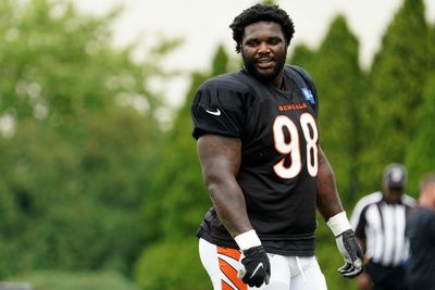 Bengals make roster moves before Week 11 vs. Steelers