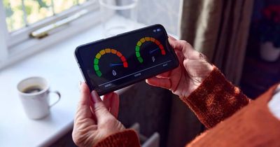 Do smart meters really save you money and do you need one?