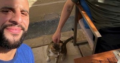 England team playing with cat mascot as they relax ahead of match against Iran