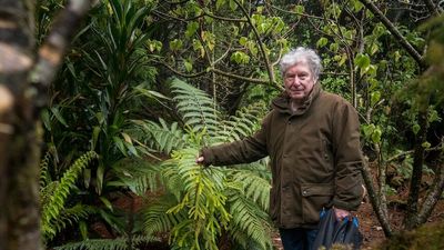 Tree hunter Alistair Watt nurtures rare plants in his garden in Victoria's Otway Ranges