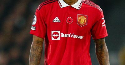 Manchester United shirt sponsor TeamViewer wants to review £235m deal