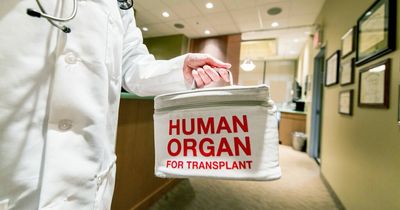 Dad dies after mistakenly being given cancerous kidney during organ transplant