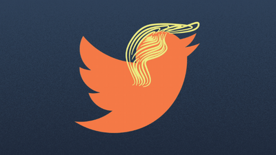 Elon Musk reinstates Trump's Twitter account after poll