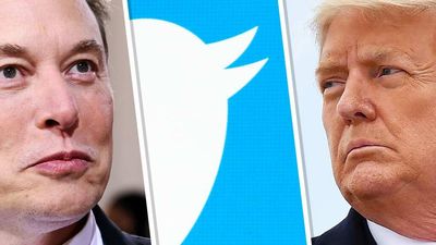 Elon Musk Welcomes Donald Trump Back to Twitter