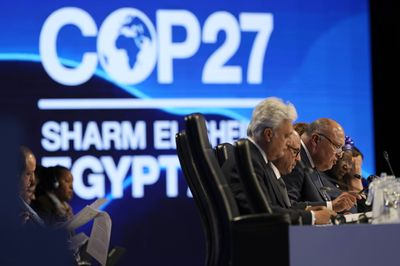 Did the world make progress on climate change? Here's what was decided at global talks