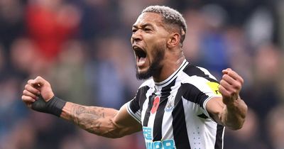 Next step for Joelinton to vindicate Newcastle transfer fee and make Brazil squad after World Cup snub