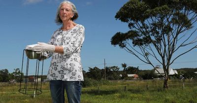 Research investigates airborne PFAS pollution in Williamtown