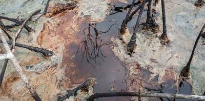 Treatment of wastewater in Nigeria's oil fields is failing, raising the risk of health hazards