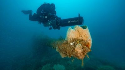 Team of divers complete three-year mission to create 3D map of sunken World War II Japanese submarine