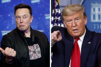 Elon Musk reinstates Donald Trump's Twitter account after conducting poll
