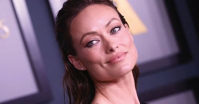 Olivia Wilde's ex nanny 'ecstatic' that Harry Styles 'dumped her' in savage swipe