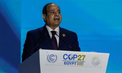 Cop27 backfires for Egypt as signs of repression mar attempt to bolster image