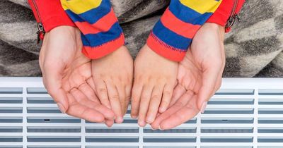 Warm Home Discount: How to check if you will get a payment this year