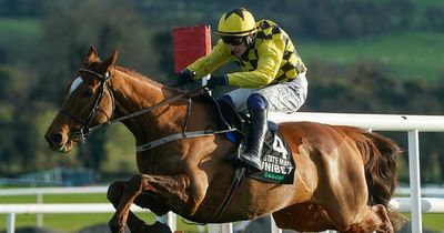 State Man's Champion Hurdle odds slashed after Morgiana win as Willie Mullins eyes improvement