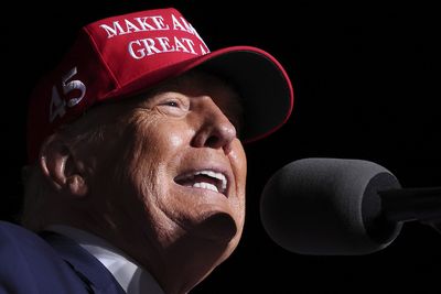 Ex-Twitter employees are horrified by Elon Musk reinstating Donald Trump’s account: ‘Incredibly upsetting’
