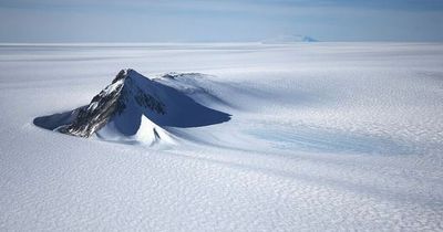 Groundbreaking research suggests 'something huge' could be living beneath Antarctica