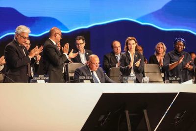 COP 27 ends with historic win and abysmal fail