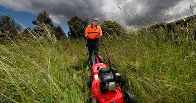 'We're in the flooding rains': Kat celebrates long grass as more rain heads for Canberra